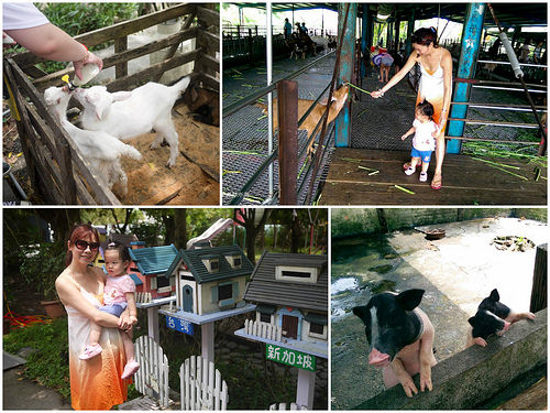 宜蘭親子旅遊,宜蘭親子景點,宜蘭景點,宜蘭宜農牧場,宜農牧場,宜蘭餵小動物 @TISS玩味食尚