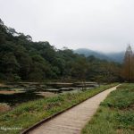 即時熱門文章：宜蘭景點｜福山植物園（需先申請入園)｜以為來到韓劇場景