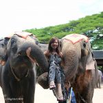 即時熱門文章：[雄獅團-泰國旅]東芭樂園，天兒喔！大象怎麼這麼可愛又聰明
