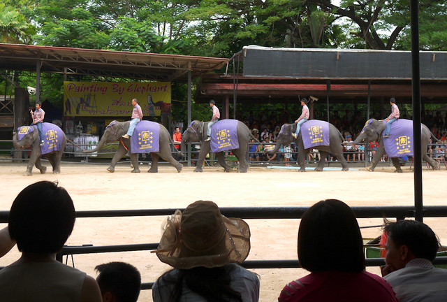 東芭樂園,泰國東芭樂園,泰國大象表演