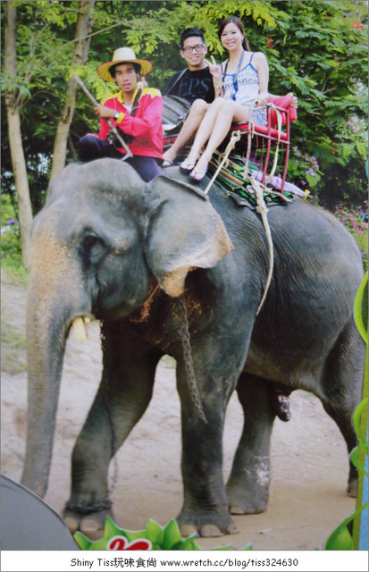 泰國騎大象,泰國泰式料理教學,泰國泰式按摩