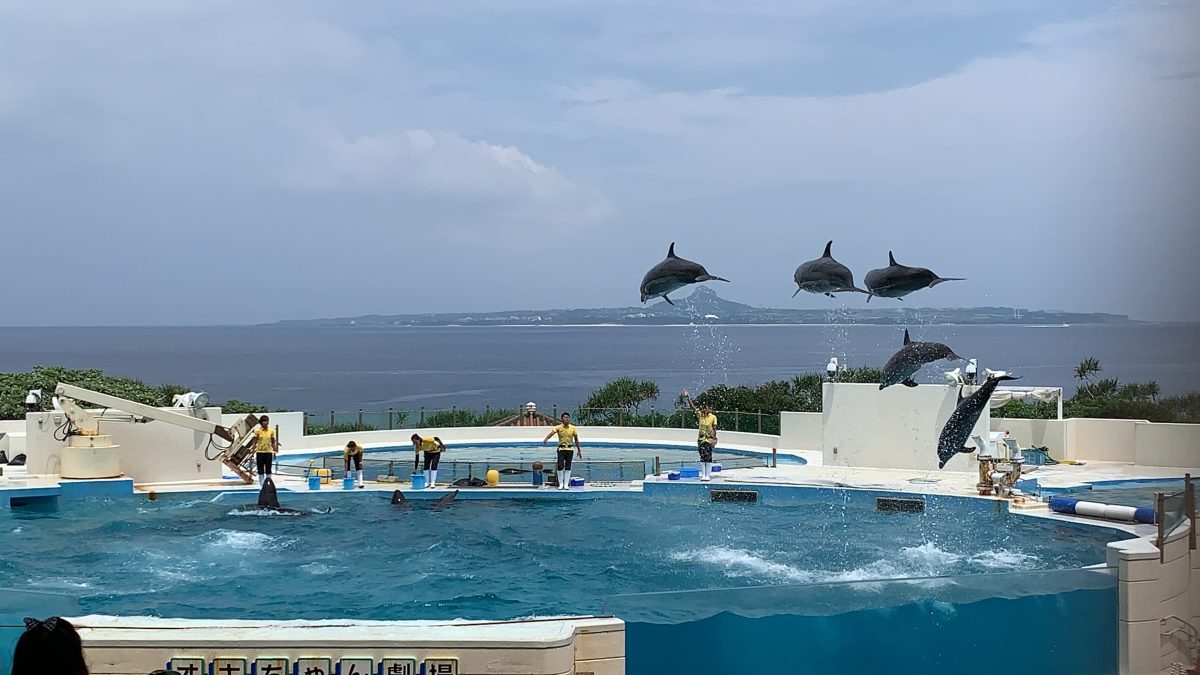 沖繩水族館,沖繩美麗海水族館,沖繩美麗海水族館門票