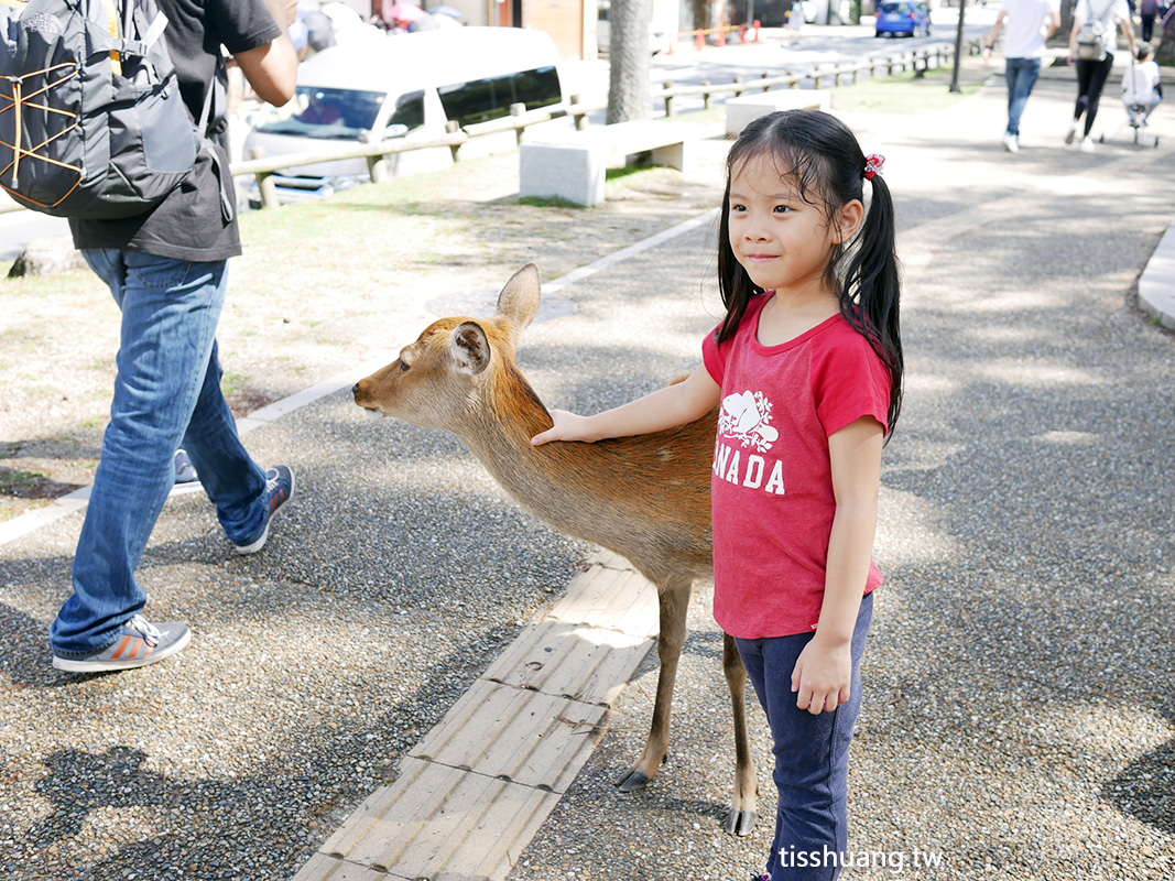 京都奈良公園餵鹿｜孩子被鹿咬一口｜奈良的鹿真的會咬人