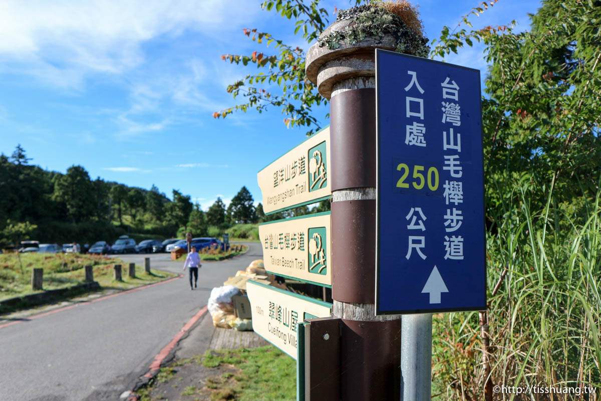 宜蘭景點推薦,太平山國家森林遊樂區,翠峰湖環湖步道,台灣山毛櫸國家步道