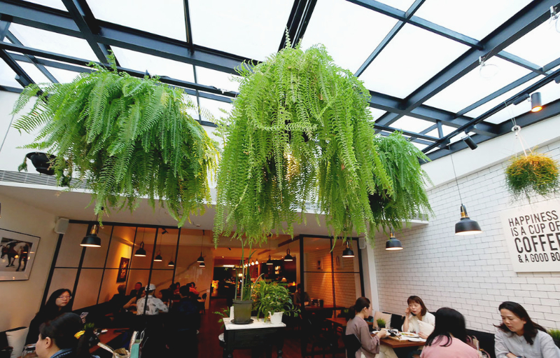 【Angel cafe】玻璃屋叢林餐廳，東門站咖啡廳推薦，附菜單