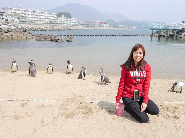 長崎企鵝水族館｜九州景點親子推薦必遊｜近距離看企鵝遊行